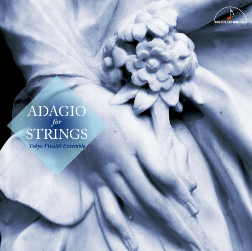 婷婷激情五月AV在线观看
